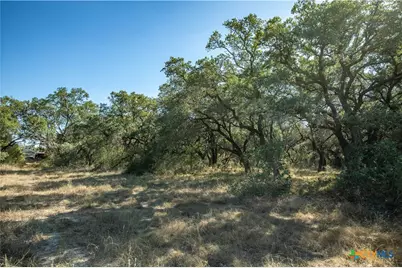 21123 Lamm Road, Elmendorf, TX 78112 - Photo 30