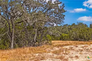 1949 Paradise Pkwy, Canyon Lake, TX 78133 - Photo 1