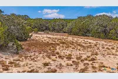 1949 Paradise Parkway, Canyon Lake, TX 78133 - Photo 14