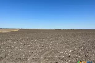 Tract 3 County Rd 355, Rosebud, TX 76519 - Photo 8