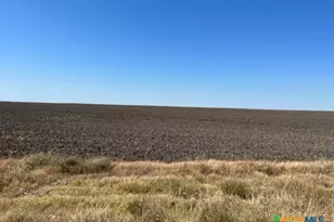 Tract 3 County Rd 355, Rosebud, TX 76519 - Photo 6