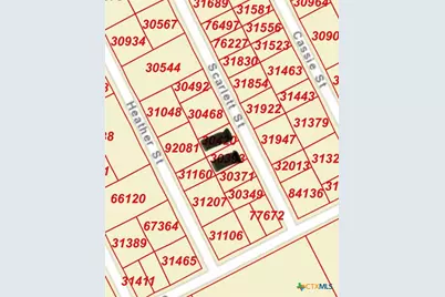 55 Scarlett Street, Port O Connor, TX 77982 - Photo 46