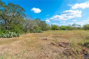 Tbd Us-90-Alt, Seguin, TX 78155 - Photo 16