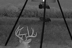 Tbd Us-90-Alt, Seguin, TX 78155 - Photo 22