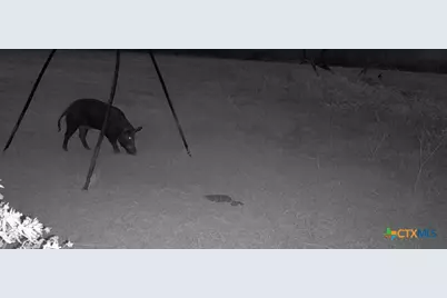 Tbd Us-90-Alt, Seguin, TX 78155 - Photo 24