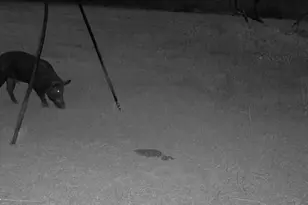 Tbd Us-90-Alt, Seguin, TX 78155 - Photo 24