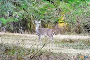 000 Smith Rd, Victoria, TX 77905 - Photo 40