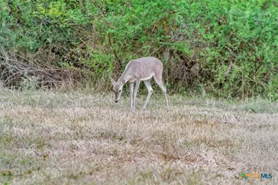 000 Smith Road, Victoria, TX 77905 - Photo 34