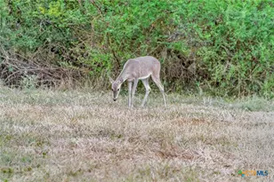 000 Smith Rd, Victoria, TX 77905 - Photo 34