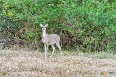000 Smith Road, Victoria, TX 77905 - Photo 32
