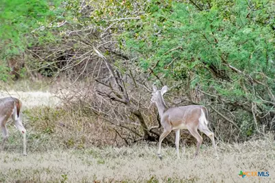 000 Smith Road, Victoria, TX 77905 - Photo 36