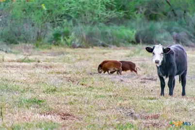 000 Smith Road, Victoria, TX 77905 - Photo 42