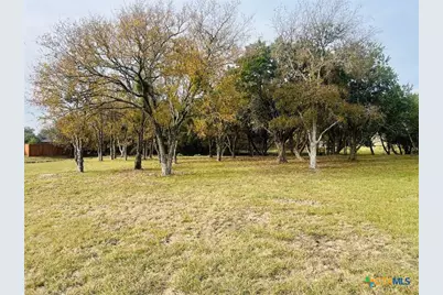 2009 Chalk Mill Crossing, Salado, TX 76571 - Photo 4