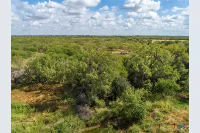 560 Pr Goose Creek Lane, Jourdanton, TX 78026 - Photo 14