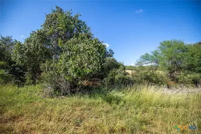 560 Pr Goose Creek Lane, Jourdanton, TX 78026 - Photo 18
