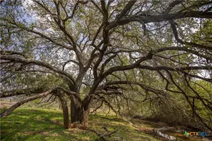 560 PR Goose Creek Ln, Jourdanton, TX 78026 - Photo 12