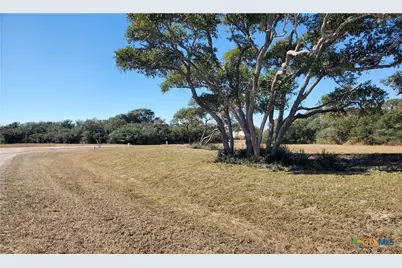 Tbd Bayside Drive, Seadrift, TX 77983 - Photo 4