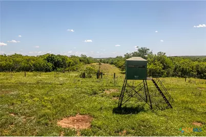 1110 County Road 103, Runge, TX 78151 - Photo 18