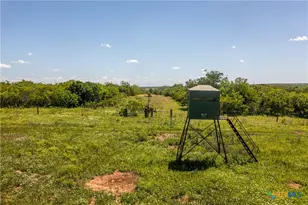 1110 County Rd 103, Runge, TX 78151 - Photo 18