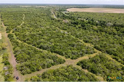 1110 County Road 103, Runge, TX 78151 - Photo 14