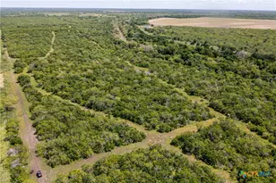 1110 County Rd 103, Runge, TX 78151 - Photo 14