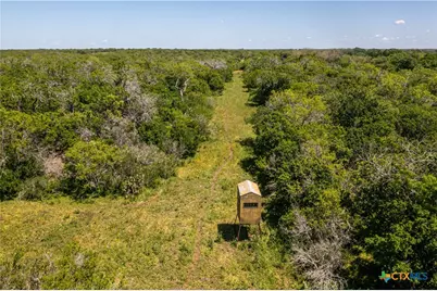 1110 County Road 103, Runge, TX 78151 - Photo 16