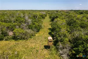 1110 County Rd 103, Runge, TX 78151 - Photo 16