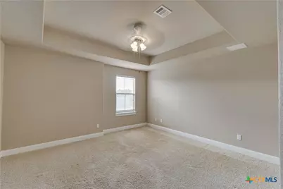 243 Arendes Drive, New Braunfels, TX 78132 - Photo 22