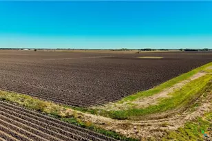 Tbd Cr 335 Rd, Louise, TX 77455 - Photo 6