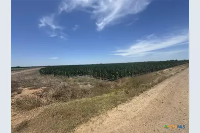 Tbd Cr 335 Road, Louise, TX 77455 - Photo 18