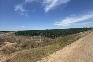 Tbd Cr 335 Rd, Louise, TX 77455 - Photo 18