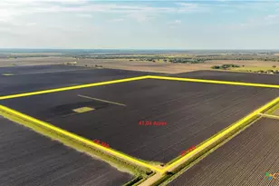 Tbd Cr 335 Rd, Louise, TX 77455 - Photo 4