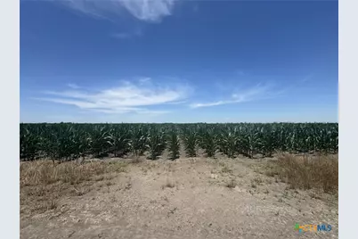 Tbd Cr 335 Road, Louise, TX 77455 - Photo 20