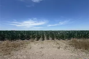 Tbd Cr 335 Rd, Louise, TX 77455 - Photo 20