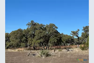 Lot 186 Blackbuck Ridge Drive, Lampasas, TX 76550 - Photo 16