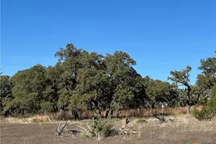 Lot 186 Blackbuck Ridge Dr, Lampasas, TX 76550 - Photo 16