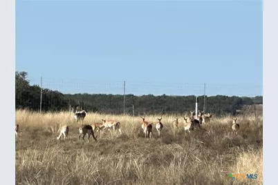 Lot 186 Blackbuck Ridge Drive, Lampasas, TX 76550 - Photo 18