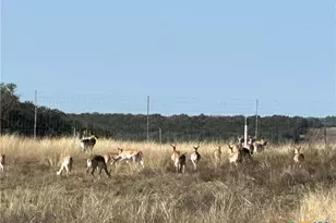 Lot 186 Blackbuck Ridge Dr, Lampasas, TX 76550 - Photo 18