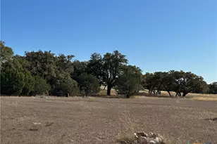 Lot 186 Blackbuck Ridge Dr, Lampasas, TX 76550 - Photo 22