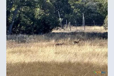 Lot 186 Blackbuck Ridge Drive, Lampasas, TX 76550 - Photo 14