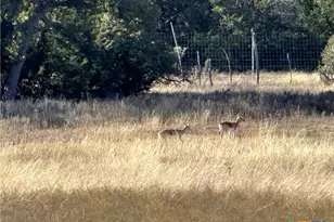 Lot 186 Blackbuck Ridge Dr, Lampasas, TX 76550 - Photo 14