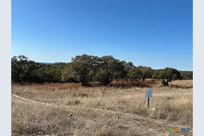 Lot 186 Blackbuck Ridge Drive, Lampasas, TX 76550 - Photo 8