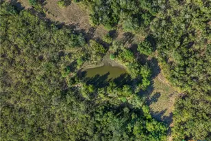 399 Seals Creek Rd, Lockhart, TX 78644 - Photo 8