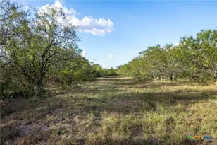 399 Seals Creek Rd, Lockhart, TX 78644 - Photo 6