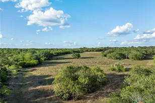 399 Seals Creek Rd, Lockhart, TX 78644 - Photo 16