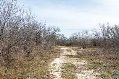 000 Mineral Cemetary, Beeville, TX 78102 - Photo 8