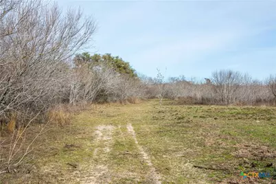 000 Mineral Cemetary, Beeville, TX 78102 - Photo 6