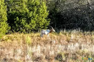 Tbd Falling Oak Dr, Blanco, TX 78606 - Photo 14