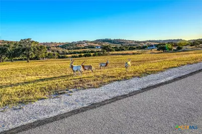 Tbd Falling Oak Drive, Blanco, TX 78606 - Photo 12
