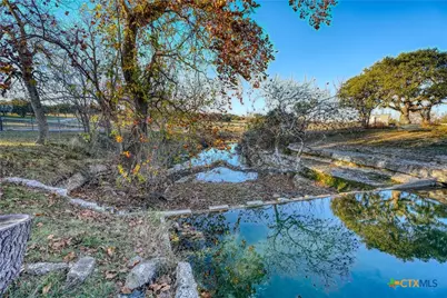 Tbd Falling Oak Lot 136 Drive, Blanco, TX 78606 - Photo 32